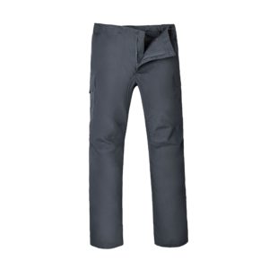 Pantalon Cargo gris